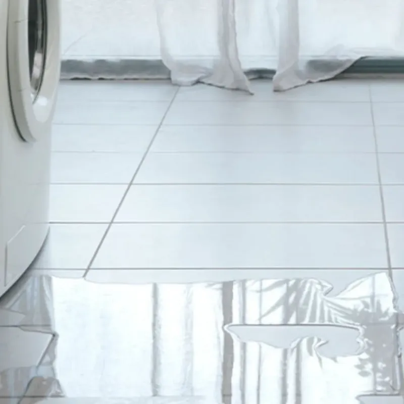 Appliance Leak Cleanup in Garfield, TX