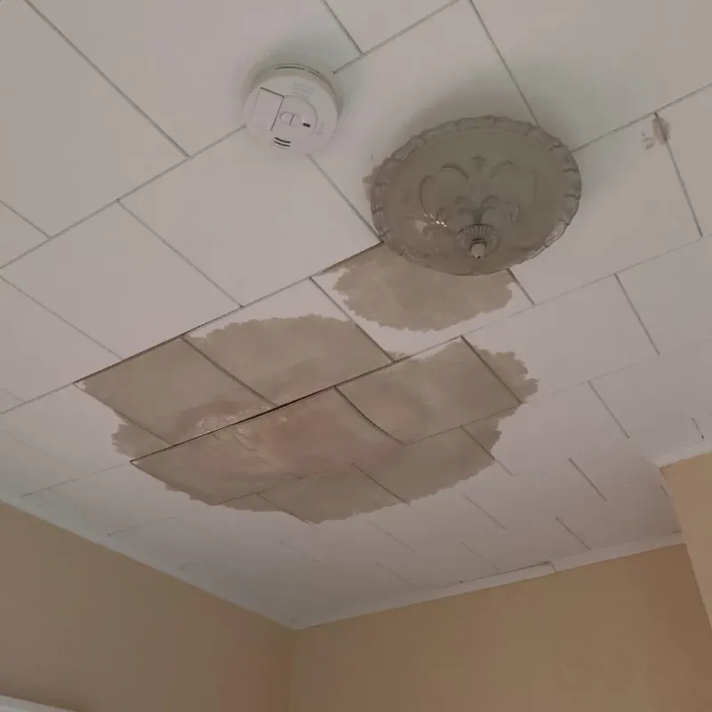 Ceiling Water Damage Repair in Garfield, TX