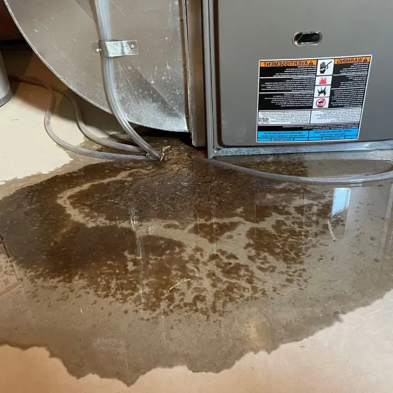 Pipe Burst and Leak Restoration in Garfield, TX