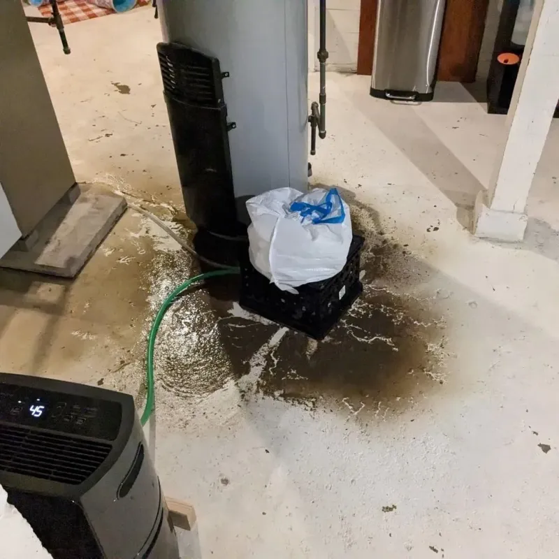 Sewage Backup Cleanup Service in Garfield, TX
